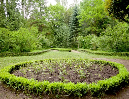 Dendropark in Stepanawan