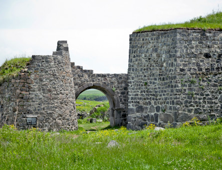 Lori Fortress