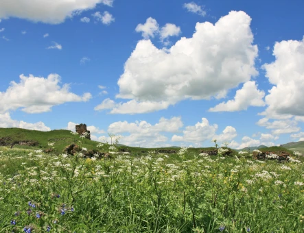 Lori Fortress