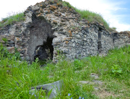 Lori Fortress