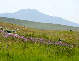 Montagna Ughtassar