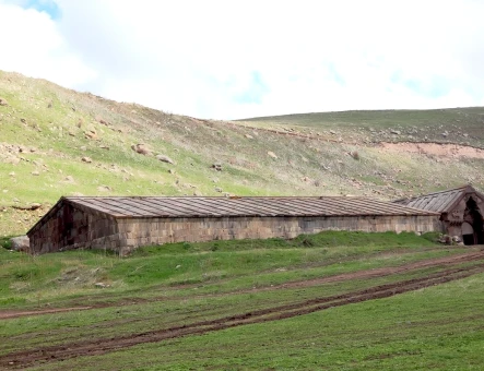 Caravanserraglio degli Orbelyan (Selim)