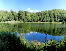 Lago Gosch
