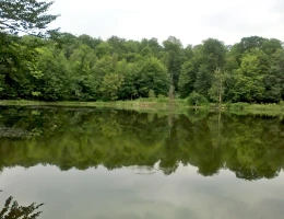 Lago Gosch