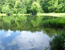 Lago Gosch