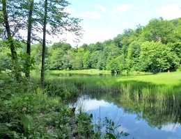 Lago Gosch