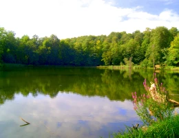 Lago Gosch