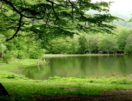Lago Gosch
