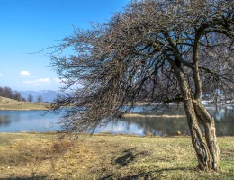 Lago Tsover