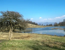 Lago Tsover