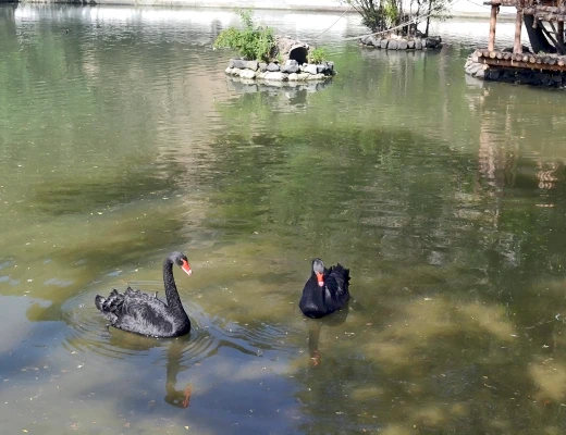 Ереванский зоопарк