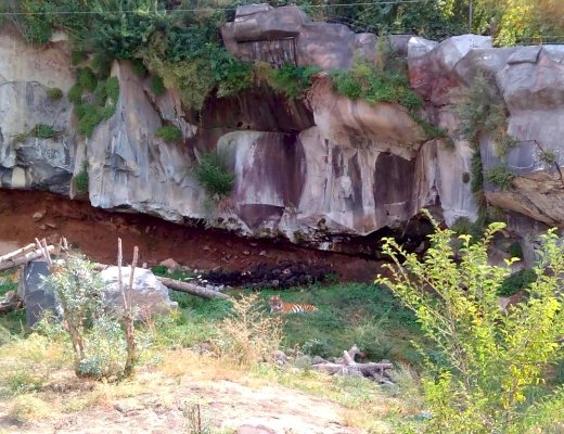 Ереванский зоопарк