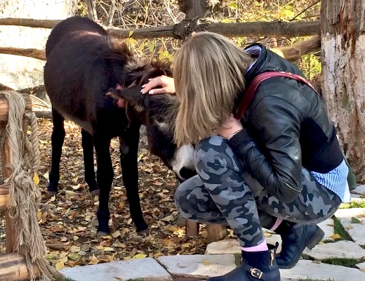 Ереванский зоопарк