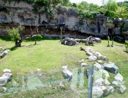 Zoo di Yerevan