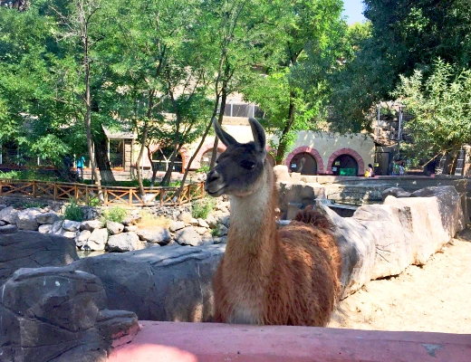 Ереванский зоопарк