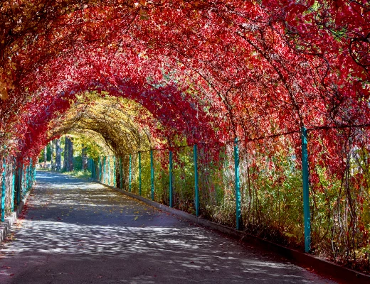 Yerevan Botanical Garden