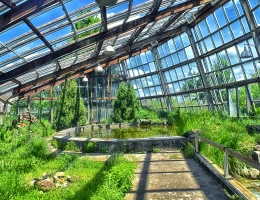 Giardino botanico di Yerevan