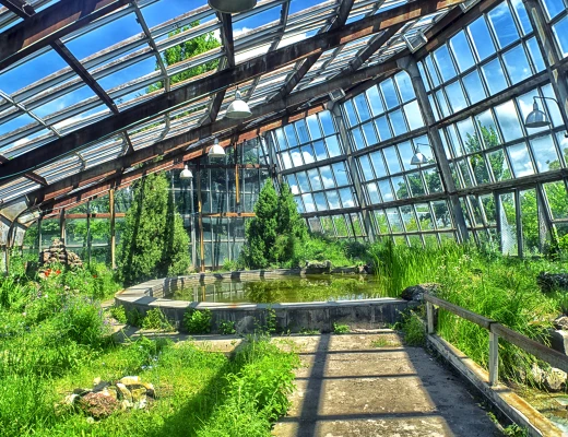 Ереванский ботанический сад