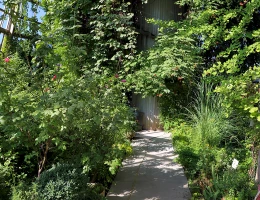 Giardino botanico di Yerevan