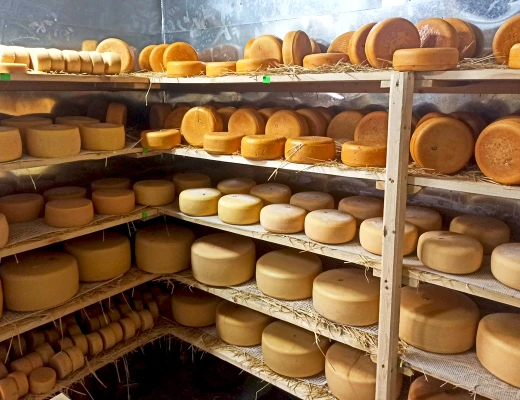 Azienda agricola della famiglia Mikayelyan