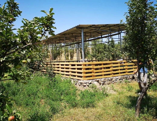 Azienda agricola della famiglia Mikayelyan