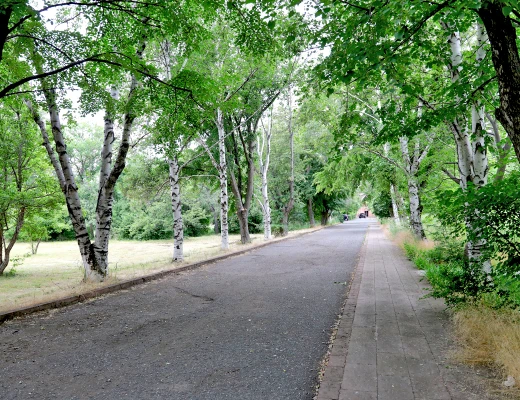 Observatorio Astrofísico de Byurakán