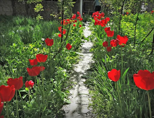 Göttlicher Untergrund vom Meister Lewon