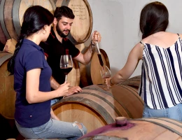 Fabbrica di vino Voskeni