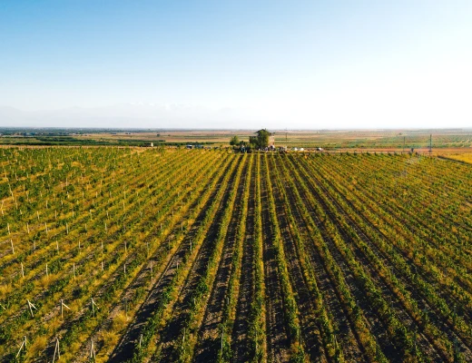 Винный завод Воскени