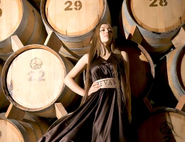 Fabbrica di vino e brandy di Ijevan