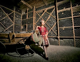 Fabbrica di vino e brandy di Ijevan
