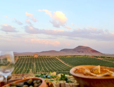 ArmAs wine factory