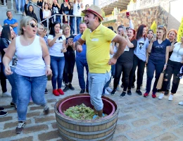 Fabbrica di vino ArmAs
