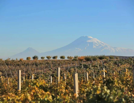 ArmAs wine factory