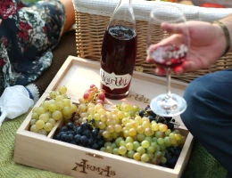 Fabbrica di vino ArmAs