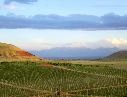 ArmAs wine factory