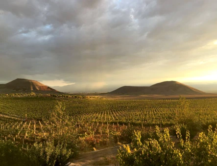 ArmAs wine factory