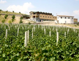 Fabbrica di vino ArmAs