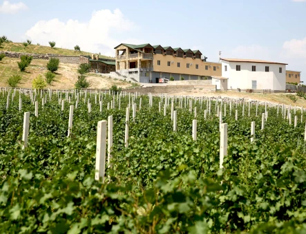 ArmAs wine factory