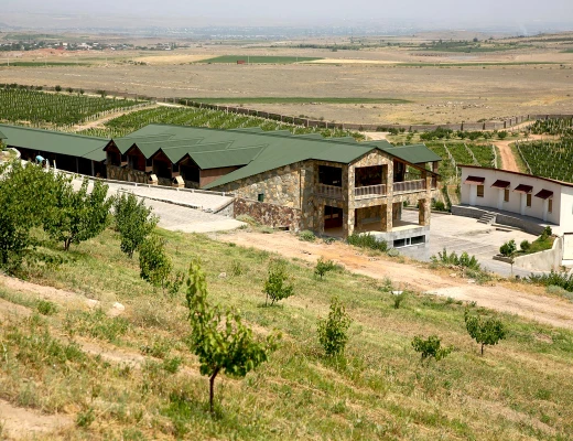 ԱրմԱս գինու գործարան