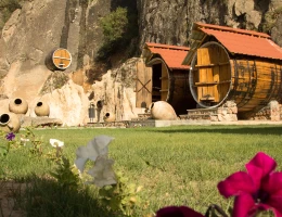 Fabbrica di vino Arpa Parnas