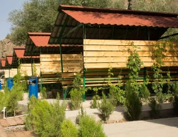 Fabbrica di vino Arpa Parnas