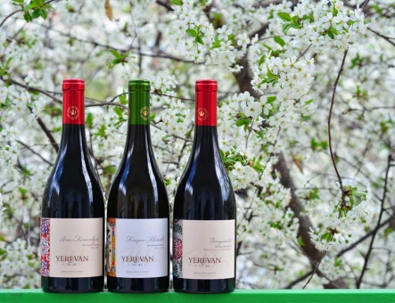 Armenia Wine factory