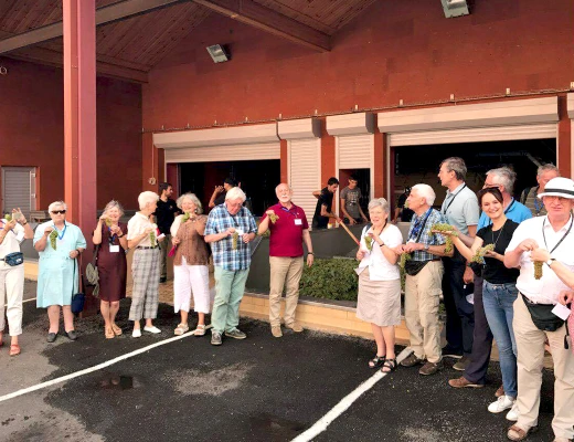 Արմենիա Վայն գինու գործարան