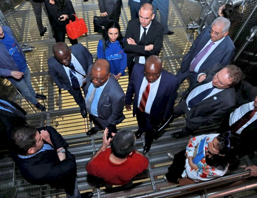 Արմենիա Վայն գինու գործարան