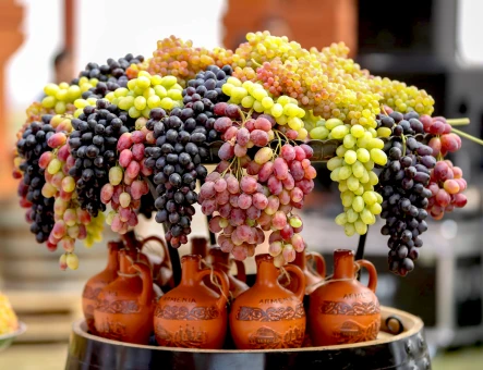 Armenia Wine factory