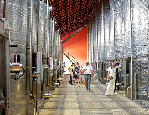 Արմենիա Վայն գինու գործարան