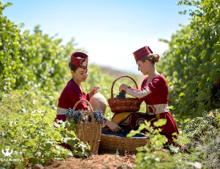 Armenia Wine factory