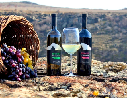 Fábrica de vino Voskevaz
