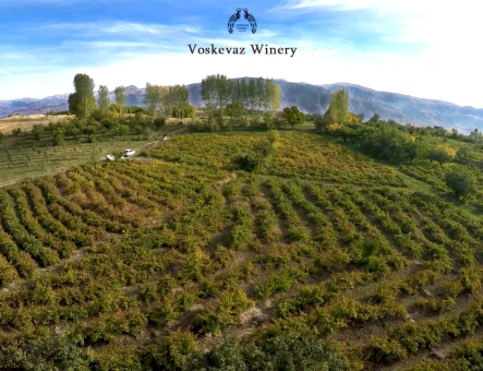 Fábrica de vino Voskevaz